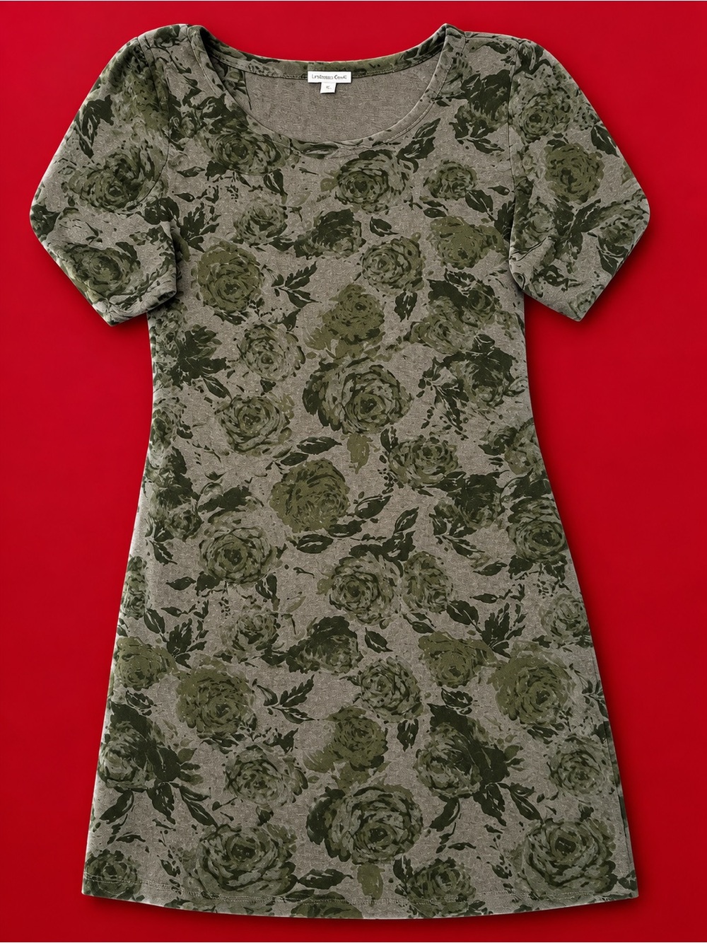 Woman’s dress size 1X